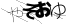 やまがた こころの相談所 | 「タロとジロの日」愛と希望と勇気の日2026年01月14日(水)もみほぐし オラクルカード占い営業開始