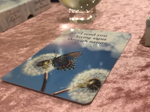 タロット占い「フォーチュン ヒーリング ™」公式ブログ 山形県 鶴岡市 | 雨の夜に告知する神の化身 フォーチュンヒーリング オラクルカード占い タロット占い「フォーチュン ヒーリング ™」公式ブログ 山形県 鶴岡市 | 雨の夜に告知する神の化身 フォーチュンヒーリング オラクルカード占い