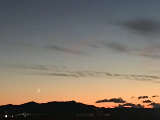 山形インフォメーション | 今日は記念の独り立ち