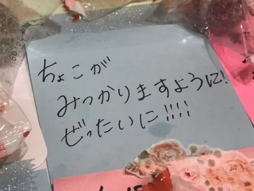 やまがた こころの相談所 | 突然のご来店に思わず笑顔 フォーチュンヒーリング オラクルカード占い やまがた こころの相談所 | 突然のご来店に思わず笑顔 フォーチュンヒーリング オラクルカード占い