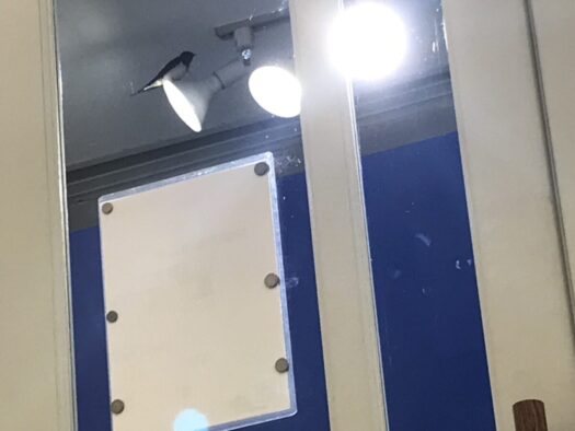 やまがた こころの相談所 | フォーチュンヒーリング オラクルカード占い火曜日営業のご案内 やまがた こころの相談所 | フォーチュンヒーリング オラクルカード占い火曜日営業のご案内